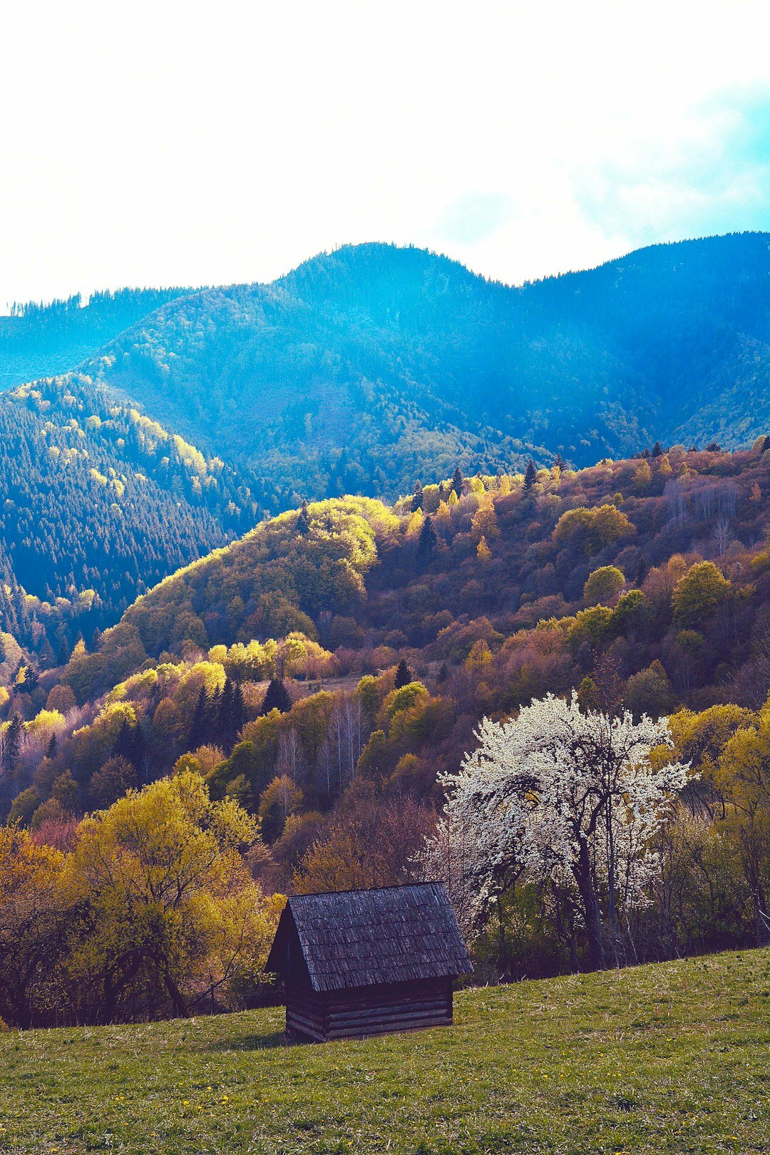 seniors enjoying scenic view in slovakia